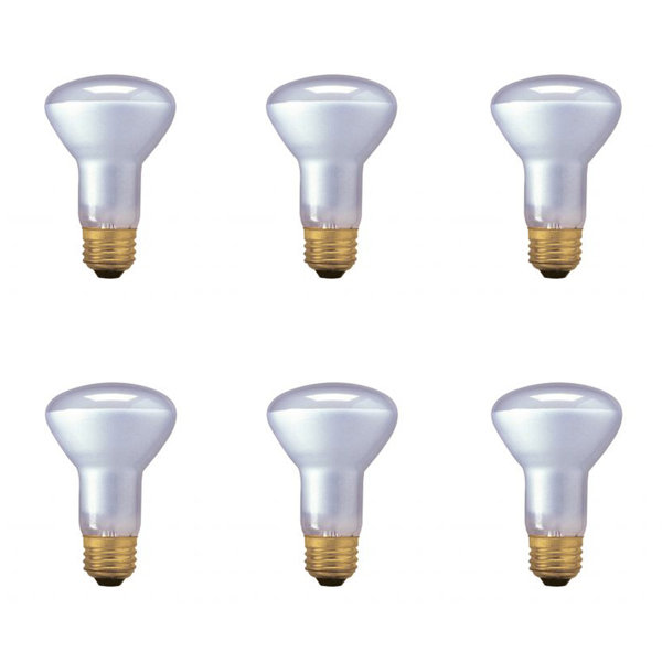 Bulbrite Industries 45 Watt R20 Halogen Dimmable Light Bulb, (2900K